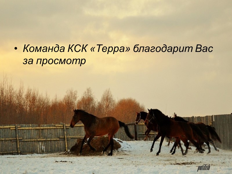 Команда КСК «Терра» благодарит Вас за просмотр